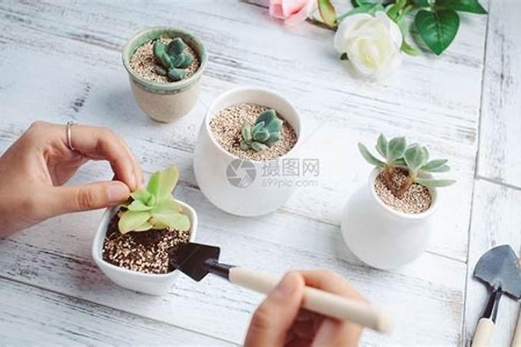 腐植酸钠的含量测定