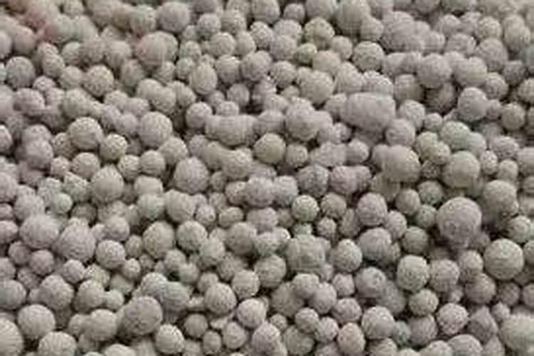 多肉植物多久浇水一次？需要施肥吗？