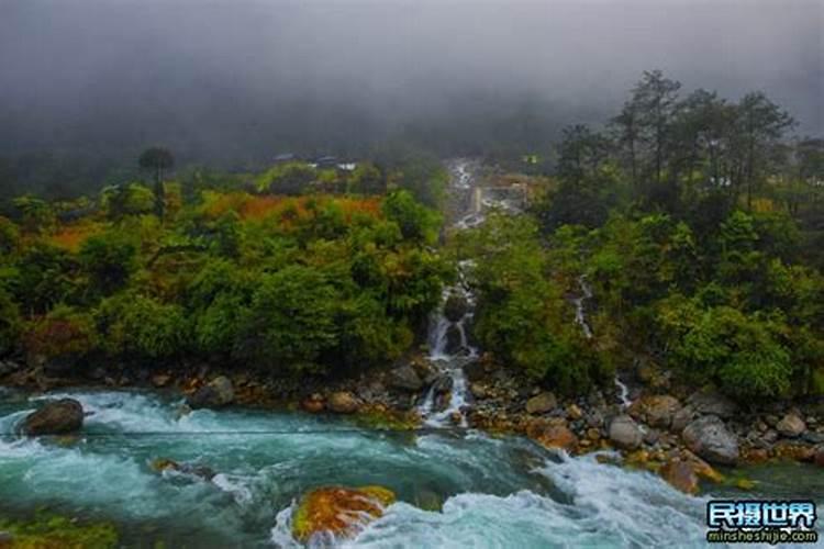 河北硅谷肥料价格一览表