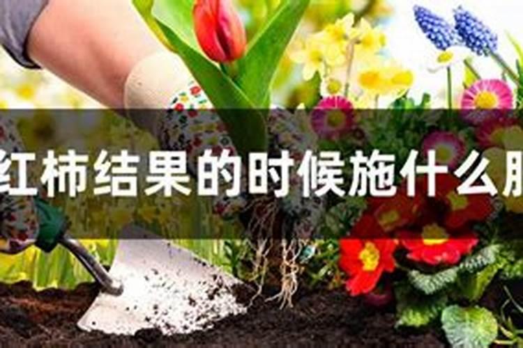 氮肥可以兑水浇花吗