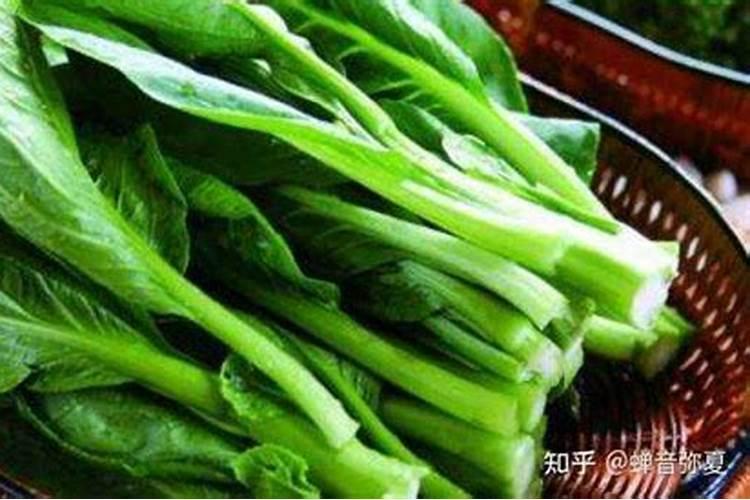 红菜心叶子有点皱怎么回事？