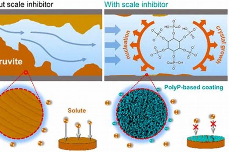 磷肥对植物起什么作用？