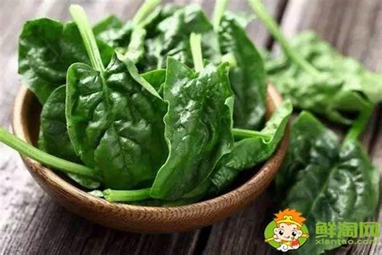 枇杷花期病虫防治技术要点