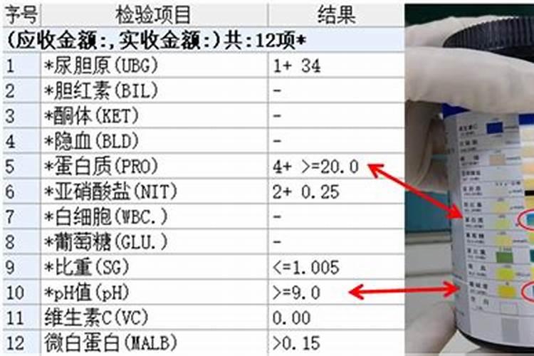 汤臣倍健 鱼蛋白片 怎样判断真假