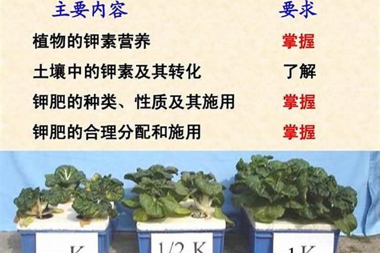 土壤中钾是怎么测定的？