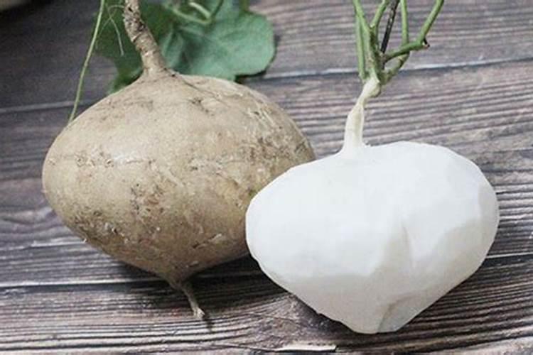 芒果用什么肥料能快速成长？施肥几次？