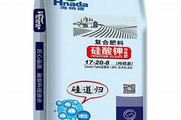 常见水产养殖鱼类对蛋白质的需求如何
