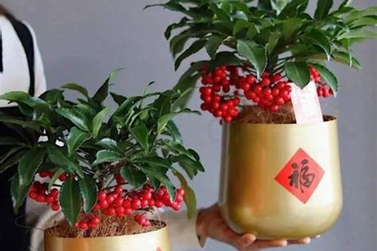 现在玉米施肥还管用吗？