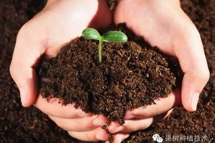 影响土壤肥力的因素是什么？