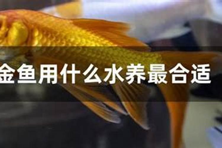 水中含多少氮才可以当做氮肥浇地