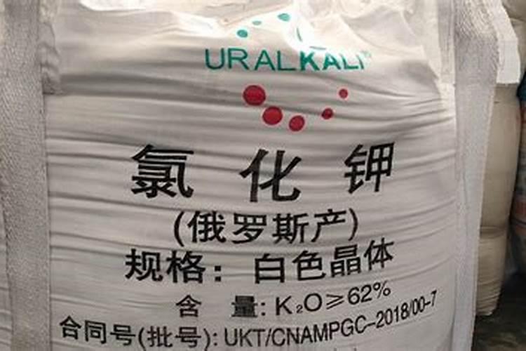 脐橙树是怎么进行根外追肥？