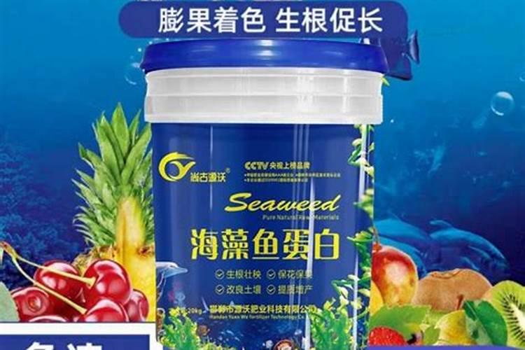 在养花时如何使用磷肥
