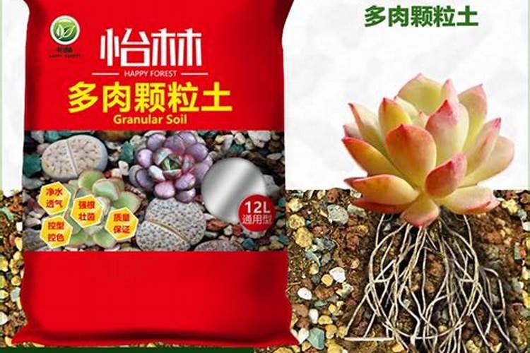 有机肥是什么肥料