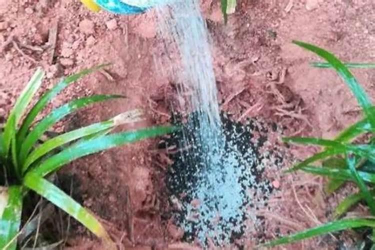 复合肥上地里没埋下雨了会失效吗