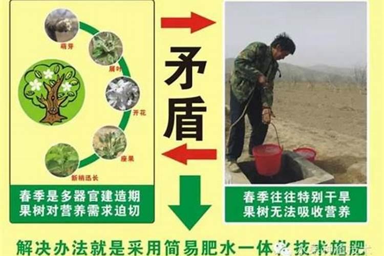 出口易美西仓一般几点揽收件