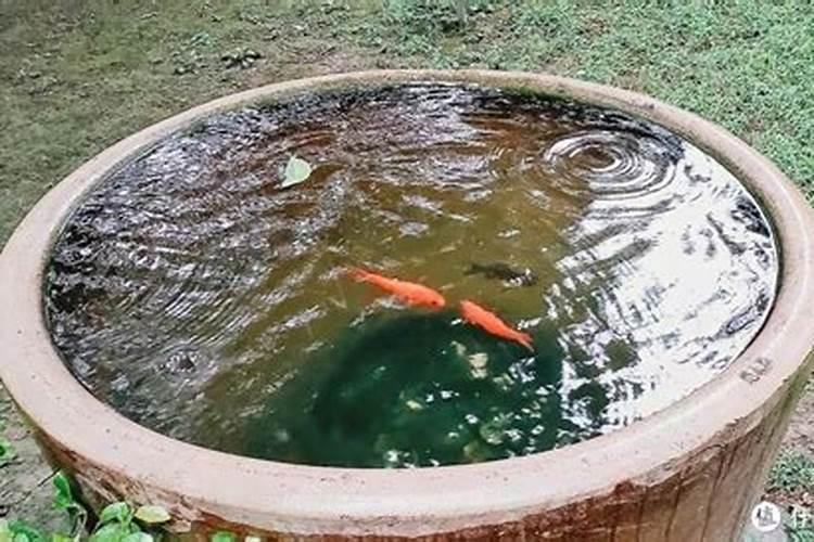 硼肥喷施过量怎么缓解