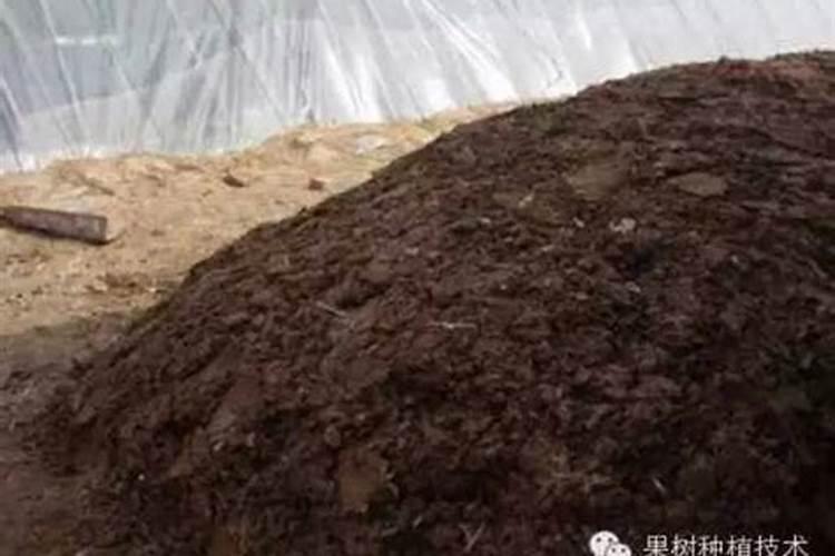 硼肥过量有什么后果