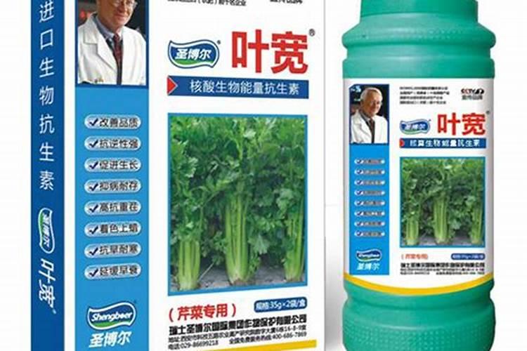 喷什么叶面肥芹菜长得快