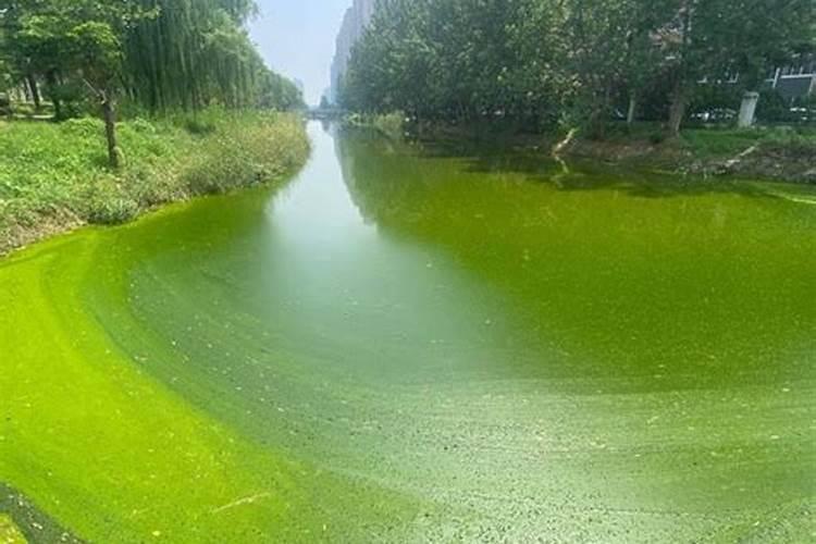 水田淹水期 不适用哪种氮肥