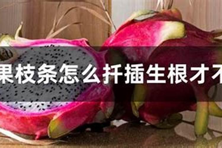 矿源黄腐酸,和生化黄腐酸有什么区别？