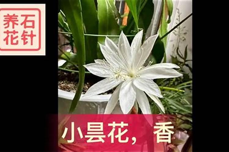磷肥过量对土壤的危害