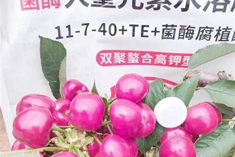 地瓜用什么肥料最好