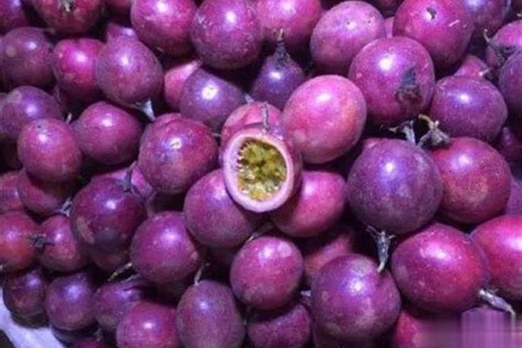种魔芋用什么肥料