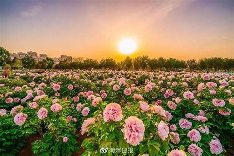 内蒙古地立农业科技有限责任公司怎么样？