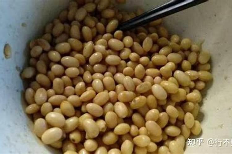 东北等比较寒冷的地方适合种植油用牡丹吗,油用牡丹的经济效益到底怎么样...