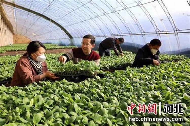 夏天最热的城市有哪些哪些城市适合避暑？