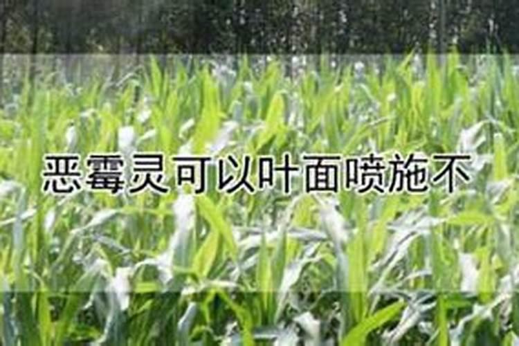 大蒜根腐病防治的最好杀菌剂