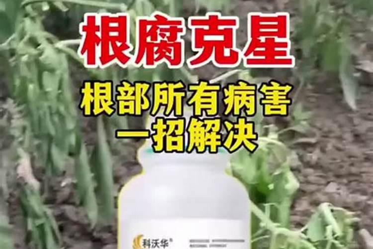 花生黄叶病的防治方法