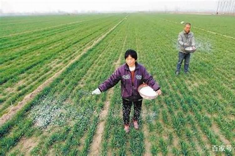公司上市后10万元的原始股有多少回报