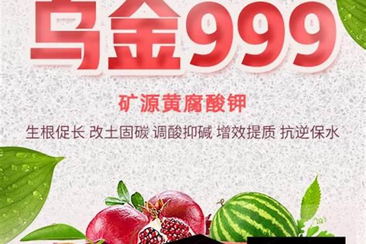 魔芋种子多少钱一斤,种子5～10元一斤