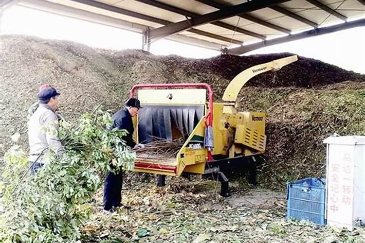 做有机肥厂一年能挣多少钱