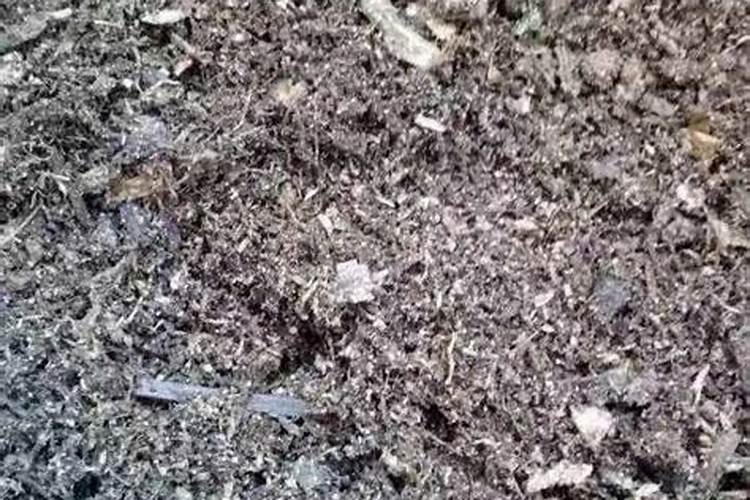 一次施肥过多,就会导致植物出现“烧苗”现象.原因是？