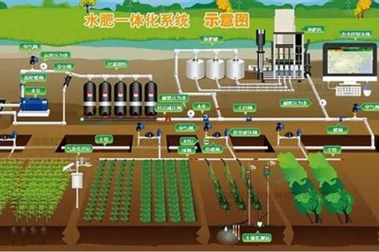 桑叶牡丹的养殖方法 需要了解这些内容
