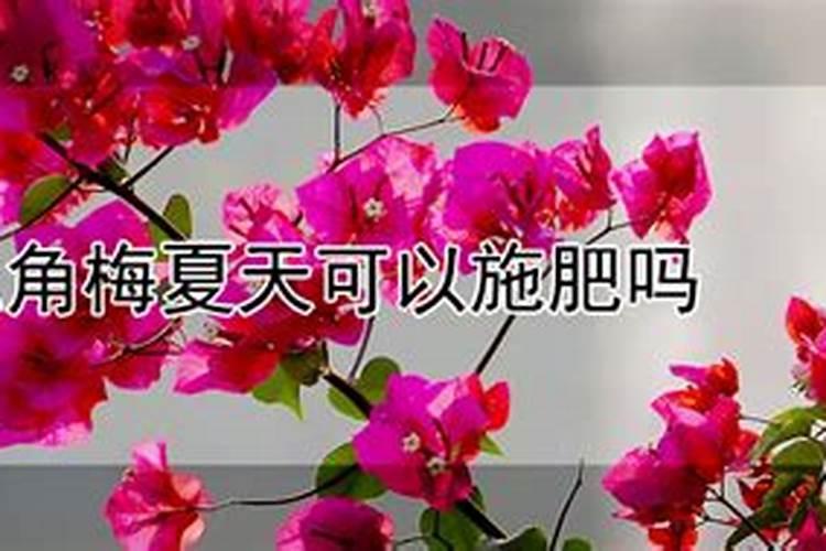 磷肥作用及功能