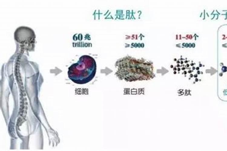 小麦灌浆期管理技术要点