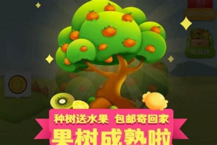 拼多多果树没有养分会死吗