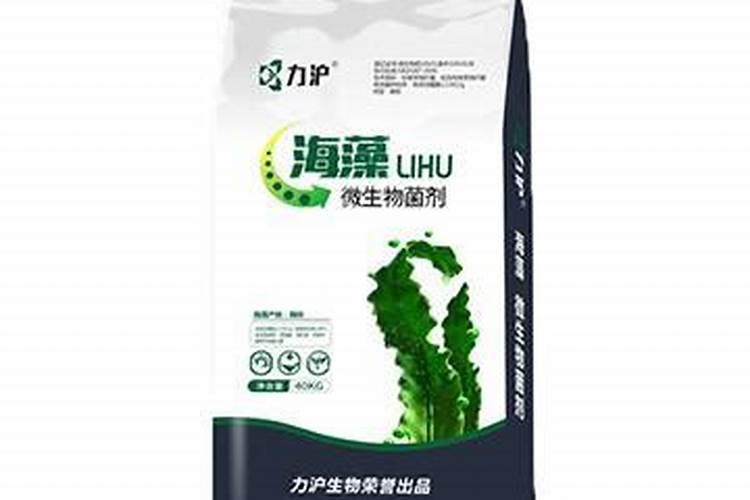 海藻肥哪个品牌的好？