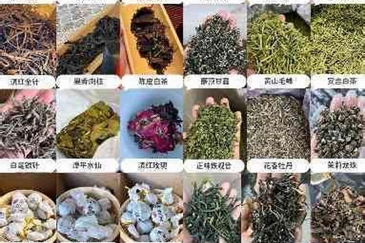微量元素钴有哪些功能,缺乏表现及如何正确的补充？