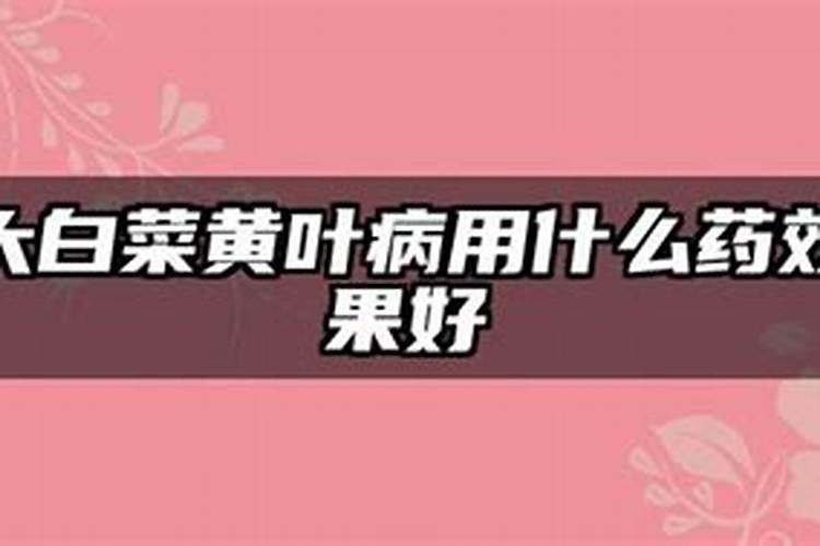 油菜病虫害有什么防治方法？