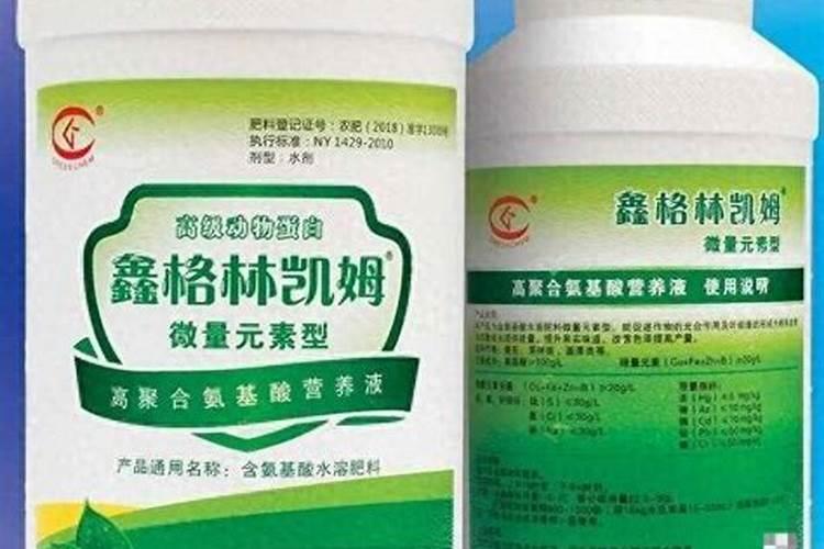 番茄什么时候冲钙肥好 注意事项有哪些