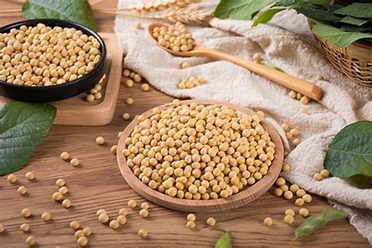 大豆施钼肥和硼肥有什么作用