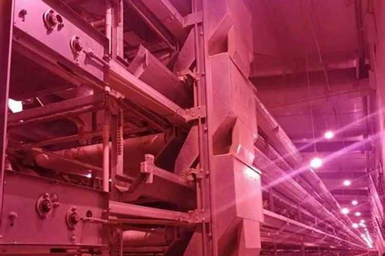 大量元素水溶肥的价格排名,哪个品牌最好？