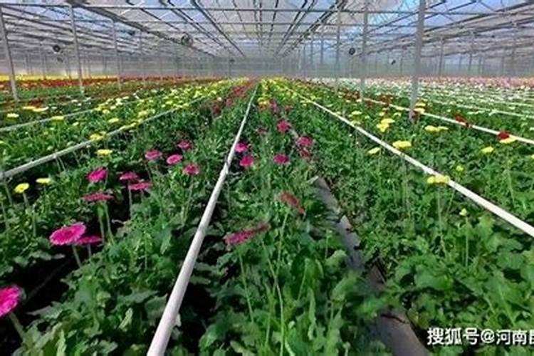 矿源黄腐酸钾最佳使用方法