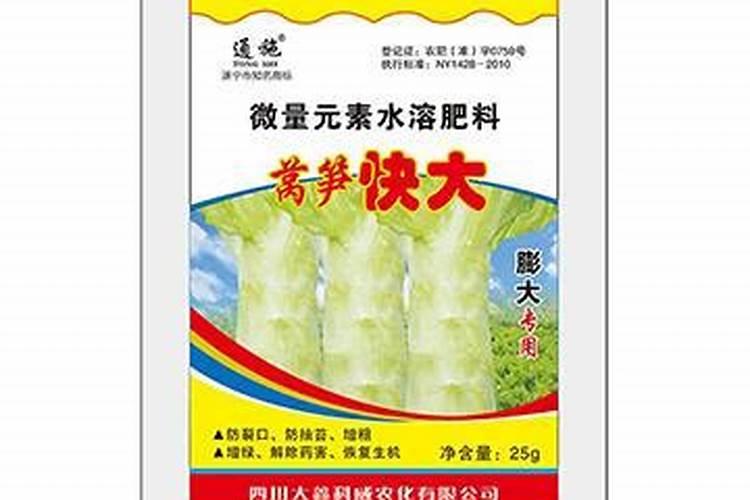 莴苣种子什么时候播种效果好？