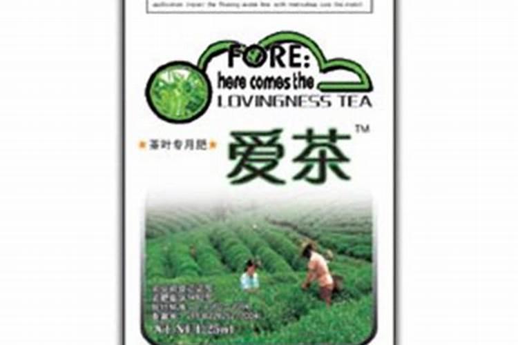 花盆里有苔藓好不好