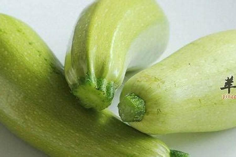秋季露地西胡芦种植技术